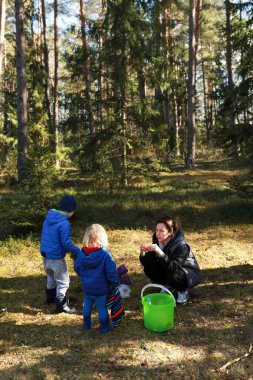 Bir anne, iki küçük çocuğuyla huzurlu bir orman ortamında etkileşime girer. Doğayı keşfederler, ağaçlarla çevrili güneşli bir günde yaratıcı bir proje için eşyalar toplarlar..