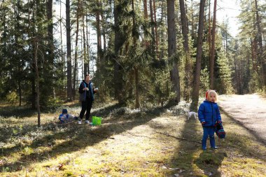 Bir aile ormanda keyifli bir öğleden sonra geçirir, iki çocuk ağaçlar arasında eğlenceli aktiviteler yapar ve yakınlarda bir ebeveyn izler. Parlak güneş ışığı yaprakların arasından süzülür.