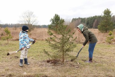 İki çocuk seyrek ağaçlar ve bulutlu bir gökyüzü ile çevrili çimenli bir tarlada ağaç dikmekle meşgul. Fidanın güvenli bir şekilde ekildiğinden emin olmak için kürek kullanıyorlar. Çevresel bakımı teşvik ediyorlar..