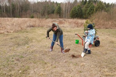 Bir kadın çukur kazmak için kürek kullanırken, bir çocuk elinde küçük bir kürek tutuyor. Açık bir günde, seyrek ağaçlarla çevrili çimenli bir alanda ağaç dikmekle meşguller..