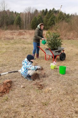 İki birey, açık otlak bir alana genç bir ağaç dikmekle meşgul. Bir yetişkin ağacı sularken bir çocuk yakınlarda bir çukur kazıyor. Ormanın arka planı ve bulutlu bir gökyüzü var..