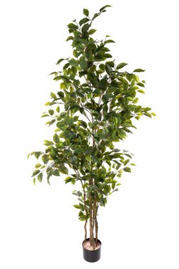 Bu iç dekorasyonda gerçek bir ağaca benzemesi için tasarlanmış ve şık bir tencerede canlı yapraklar sergilenen uzun bir yapay bitki var. Yaşam alanlarını geliştirmek için mükemmel.