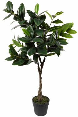 Canlı görünümlü, yeşil yapraklı yapay bir ağaç siyah bir tencerede duruyor. Ev, ofis ve etkinlik alanlarının estetiğini her zaman geliştirmek için mükemmel..