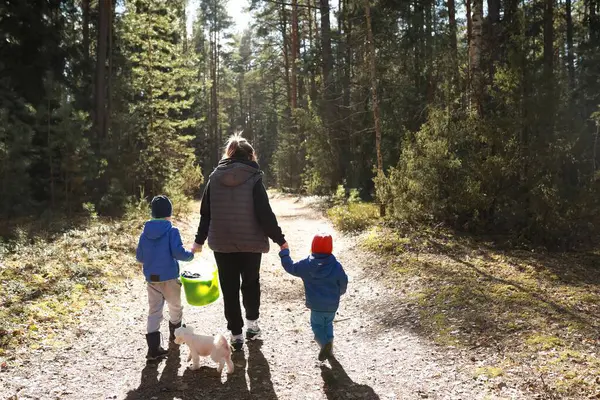 İki çocuk, baharda uzun ağaçlar ve yeşilliklerle çevrili güneşli orman patikası boyunca küçük bir köpeği gezdirirken bir yetişkinin elini tutuyor..