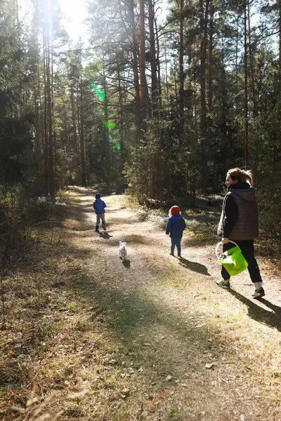 Bir ebeveyn, iki çocuk ve küçük bir köpekle birlikte sonbaharda doğanın güzelliğinin tadını çıkararak, parlak güneş ışığı altında uzun ağaçlarla çevrili bir orman yolu boyunca yürür..
