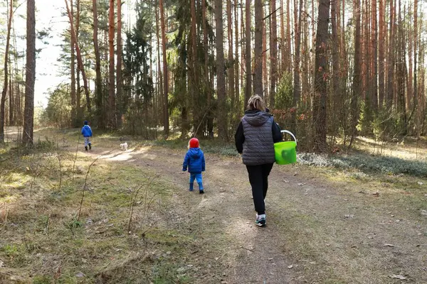 Bir kadın, iki çocuğu uzun ağaçlarla çevrili sakin bir ormanın içinden geçirir. Bir çocuk sepeti tutarken bir köpek yakından takip ediyor ve neşeli bir atmosfer yaratıyor..