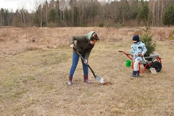 Bir anne, küçük çocuğu el arabasından izlerken yerde bir çukur kazıyor. Arka planda ağaçlar olan çimenli bir çayıra yeni bir ağaç dikiyorlar..