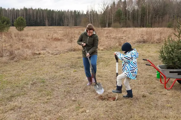Ormanlarla çevrili açık bir alana genç bir ağaç dikmek için bir çocuğun çukur kazmasına yardım eden bir kadın. Her ikisi de serin hava için giyinmiş, ödüllü bir açık hava aktivitesi içindeler..