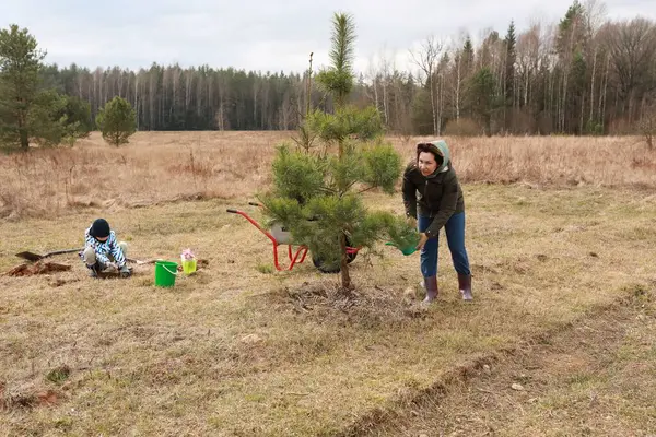 Gönüllüler bir ağaç dikme etkinliğine aktif olarak katılırken, bir kişi genç bir ağacı dikerken diğeri de doğal bir manzarayla çevrili olarak yardım etmeye hazırlanıyor..