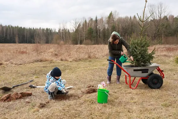 İki birey çimenli bir alana bir ağaç dikmekle meşgul. Yetişkin biri ağacı sularken bir çocuk toprağı kazıyor. Hava bulutlu, baharın ilk saatlerinde.