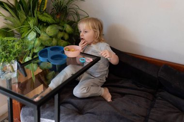 Küçük bir çocuk koltukta rahat bir şekilde oturur, mavi bir tabaktan abur cuburları kemirirken çevresi yemyeşil bitkilerle çevrilidir. Oda sıcak, davetkar bir atmosfer sunuyor..