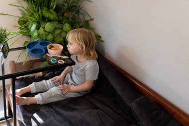 Küçük bir çocuk rahat bir şekilde yumuşak bir kanepede oturur, öğleden sonra sakin bir evde yeşil bitkilerle çevriliyken küçük bir kaseden atıştırmanın tadını çıkarır..