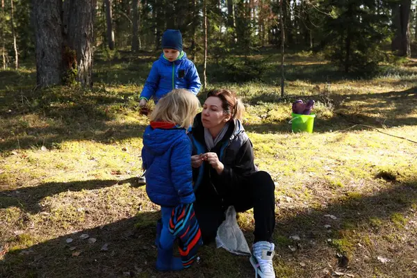 Bir anne, güneşli bir ormanda iki küçük çocuğuyla etkileşime girer. Orada çam kozalakları toplar ve doğal ortamlarını keşfederler..