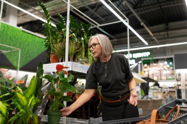 Bir kadın, bir ev eşyaları mağazasında, alışveriş deneyimine tamamen bağlı bir bitki seçimine göz atıyor. İfadeleri, canlı ürünlerle etkileşime girerken duygularını yansıtıyor..