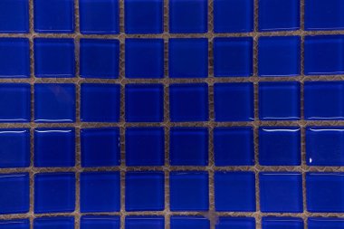 Parlak mavi cam fayanslardan oluşan canlı bir düzenleme zarif bir desen sergiliyor. Bu fayanslar renk ve tarzla boşlukları geliştirmek için mükemmeldir..