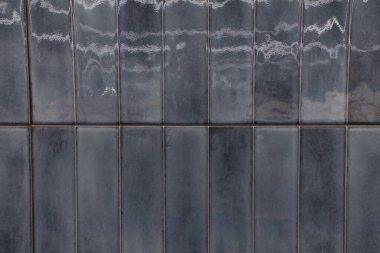 Gri tonlardaki seramik fayanslar parlak, modern duvar dokusunu oluşturur. Parlak yüzey, uzayın çağdaş tasarımını geliştirerek ışığı yansıtır..