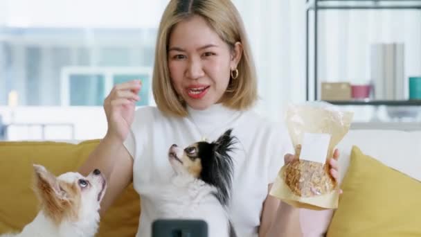 Influenciador Youtuber Adulto Mulher Asiática Pessoas Blogueiro Conversa Vivo Bate — Vídeo de Stock