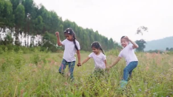 3人の活発な妹かわいい女の子の手を前方農村部の緑の芝生のフィールドを歩く移動を保持します 幸せな兄弟の若い子供たちグループアジアの人々は笑顔の喜びをリラックス愛のケア自然林で楽しみを探索 — ストック動画