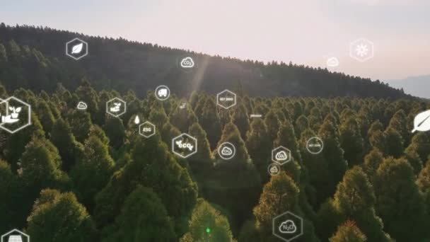 Spara Jordens Dag Låga Koldioxidutsläpp Flygskog Träd Natur Med Big — Stockvideo