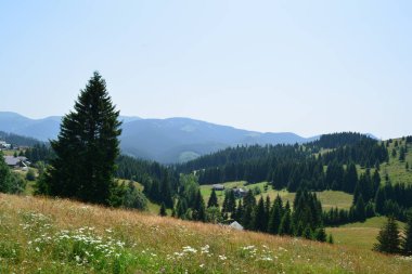 Romanya 'nın kırsal kesimindeki tarım ve sade manzaralar