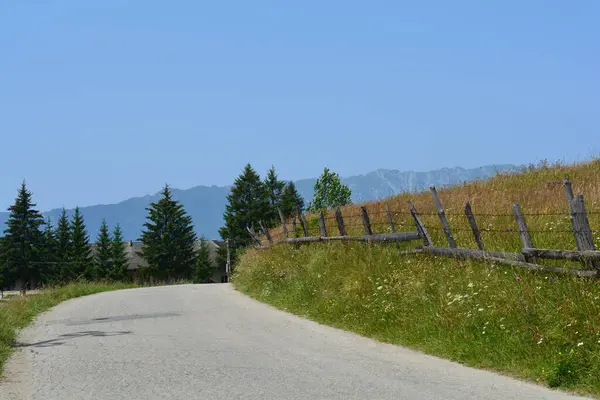 Tepe manzarası, mavi gökyüzü ve Romanya 'nın bir kır yolu boyunca tahta çitler