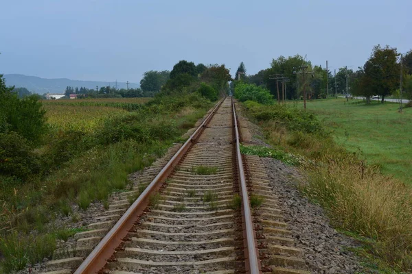 Pistin etrafında yeşil büyüyen güzel mavi gökyüzüne karşı uzun ve düz bir demiryolu hattının fotoğrafı..