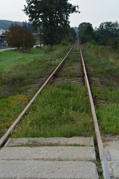 Pistin etrafında yeşil büyüyen güzel mavi gökyüzüne karşı uzun ve düz bir demiryolu hattının fotoğrafı..
