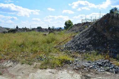 Ormanda bir enkaz yığını.