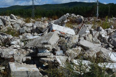 Ormanın ortasındaki eski bir binanın kalıntıları..