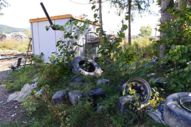 Ormandaki eski metal lastiklerin yakın plan çekimi..