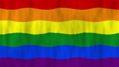 LGBTQ + bayrağı sallıyor. Kumaşın dokusu. Yüksek kaliteli video görüntüleri. 4K HD