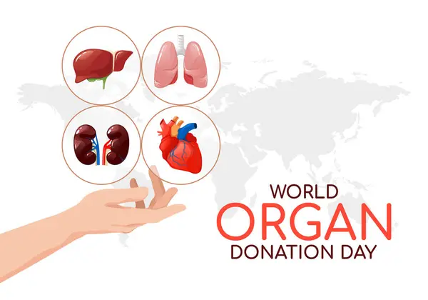Dünya Organ Bağışı Günü şablonu, el ile iç organları gösteriyor