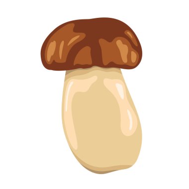 Kahverengi şapkalı Porcini mantarı.