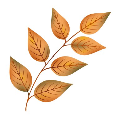 Sonbahar yaprakları dişbudak ağacı dalı