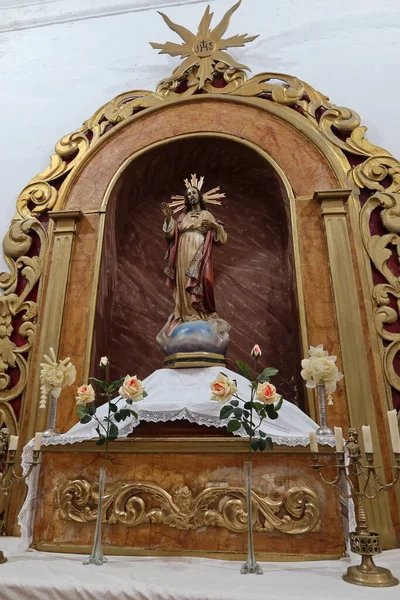 Castano Del Robledo Huelva Spanya Nisan 2023 Büyük Kilise Saint — Stok fotoğraf