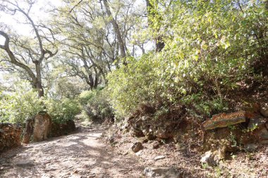 Castano del Robledo, Huelva, İspanya, 10 Nisan 2023: Büyülü Endülüs kasabaları Alajar 'dan Castano del Robledo' ya kadar bitki örtüsüyle çevrili kraliyet yolu. Huelva, İspanya