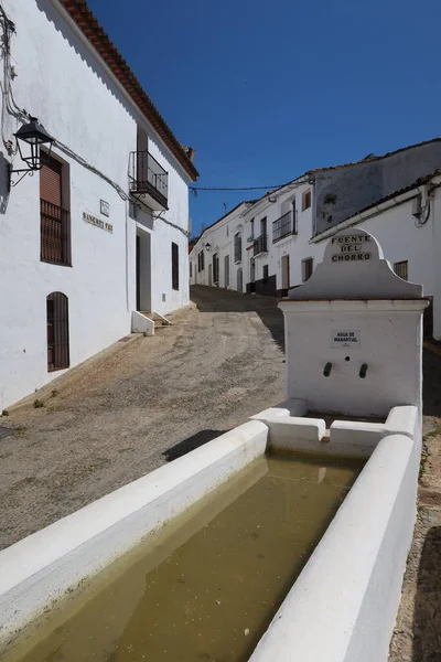 스페인 엘바의 카사노델 로블라도 Castano Del Robledo 2023 루시아 Andalusia — 스톡 사진
