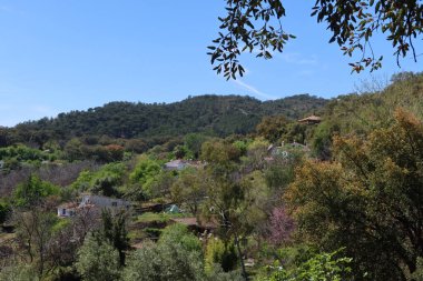 Alajar, Huelva, İspanya, 10 Nisan 2023: El Calabacino köyü, Alajar, Huelva, İspanya