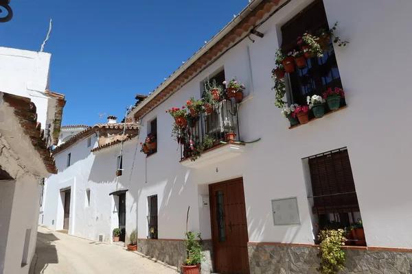 Alajar Huelva España Abril 2023 Casas Blancas Típicas Con Flores — Foto de Stock
