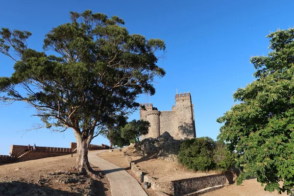 Cortegana Huelva Španělsko Května 2023 Velké Stromy Vedle Středověkého Hradu — Stock fotografie