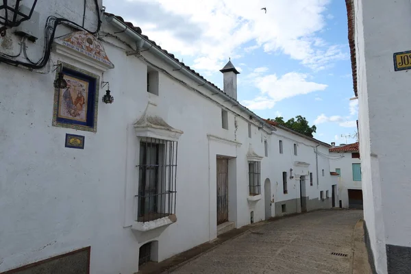 스페인의 엘바에 타노델 로블도 2023 스페인의 우엘바에 안달루시아의 카스타 — 스톡 사진