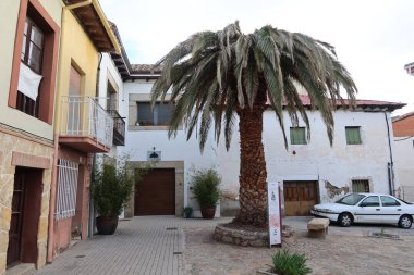 Cebreros, Avila, İspanya, 28 Kasım 2023: Cebreros, Avila, İspanya 'da bir meydanda palmiye ağacı