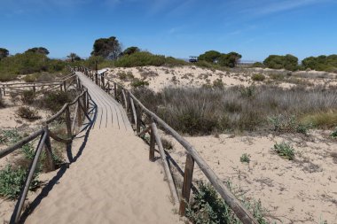 Salinas El Pinet, La Marina, Alicante, İspanya, 10 Nisan 2024 Pinet Gözlemevi 'ne giden tahta yol.