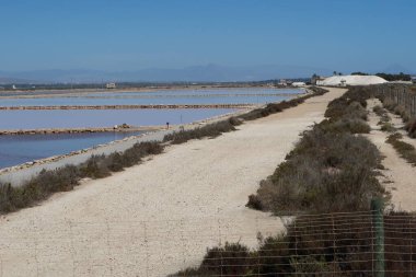 Salinas El Pinet, La Marina, Alicante, İspanya, 10 Nisan 2024: Salinas del Pinet, La Marina, Alicante, İspanya 'da tuz dağının yanındaki patika