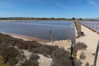 Salinas El Pinet, La Marina, Alicante, İspanya, 10 Nisan 2024: Salinas del Pinet, La Marina, Alicante, İspanya