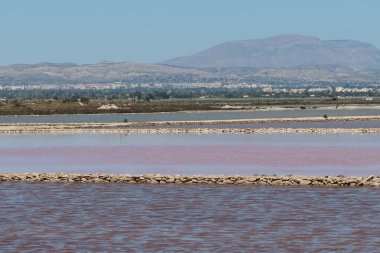 Salinas El Pinet, La Marina, Alicante, İspanya, 10 Nisan 2024: Pinet, La Marina, Alicante, İspanya 'nın tuz düzlüklerinde çeşitli renklerde göller