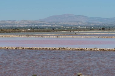 Salinas El Pinet, La Marina, Alicante, İspanya, 10 Nisan 2024: Salinas del Pinet, La Marina, Alicante, İspanya 'da arka planda dağlarla çeşitli renklerde göller