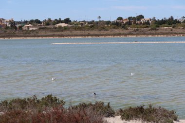 Salinas El Pinet, La Marina, Alicante, İspanya, 10 Nisan 2024: Salinas del Pinet, La Marina, Alicante, İspanya