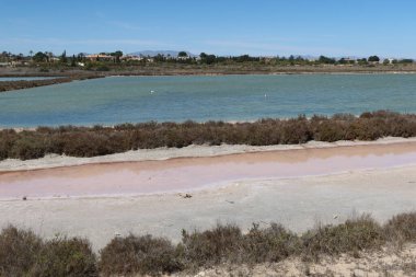 Salinas El Pinet, La Marina, Alicante, İspanya, 10 Nisan 2024: Salinas del Pinet, La Marina, Alicante, İspanya 'da farklı türde kuşların bulunduğu lagünlerden biri