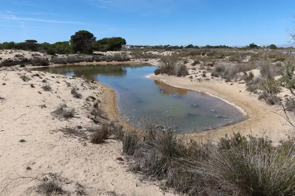 Salinas El Pinet, La Marina, Alicante, İspanya, 10 Nisan 2024: Salinas del Pinet, La Marina, Alicante, İspanya